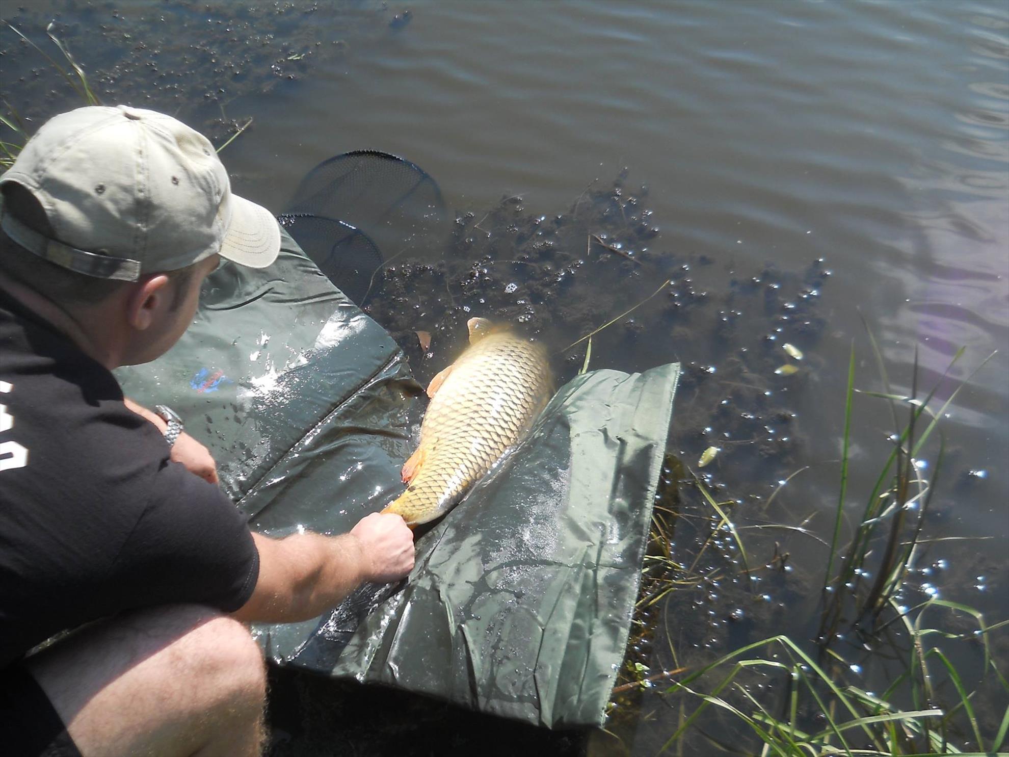 2015 Gabud, Ocna Mures - 120065929639774236234573411128037842585269o.jpg